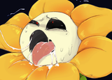 thdh