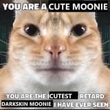 1742007954690798