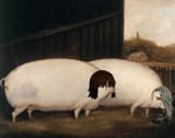 1535544299923