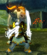 rat
