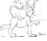 1541714718.marcushunter_gato16_0001