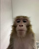 1724946696238392