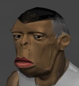 646