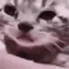 1720988857604379
