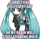 silly