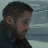 gosling