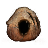 ER_Icon_Tool_Prattling_Pate_Wonderful