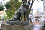 Hachiko-Statue