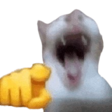 MFW