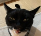 1741733517938119