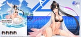 ryuuhou swimsuit