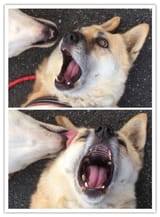 YAAAWWWWWWNNNNNN