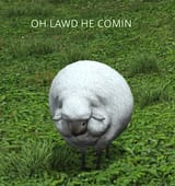 shep chonk