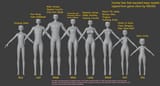 Models