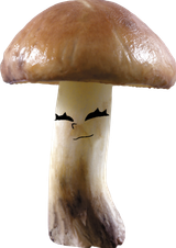 Shroomley
