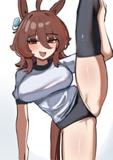 432253523
