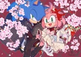 __sonic_the_hedgehog_and_amy_rose_sonic_drawn_by_konjiki_ringo__1d8b7eee9fe79fa8616925b8742239f2