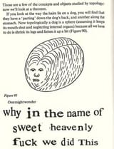dog is a sphere
