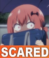 1731530896084213