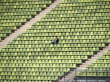 stadium-165406_1280