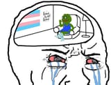 1734722927639831 tranny living rentfree