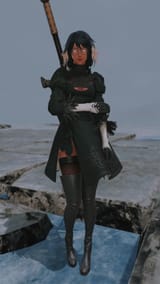 ffxiv_dx11 2025-06-29 00-21-38_108