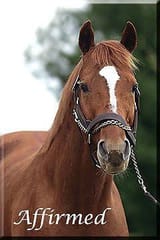 affirmed