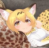 serval_583