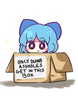 cirno box