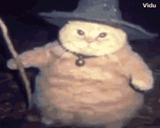 1751220260297783