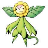 Sunflowmon[1]