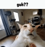 1729868432220625