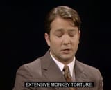 monkey-torture