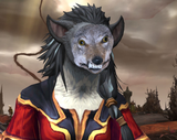 taxidermy stare
