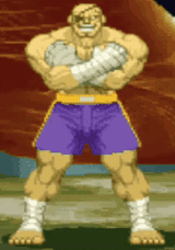sagat-street-fighter
