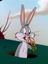 bugs