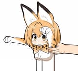 serval01