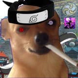 Ninjadoggo