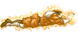 bison