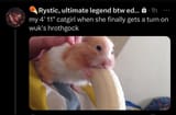 least porn addicted tranny