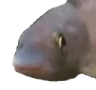 -_-