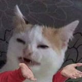 172293