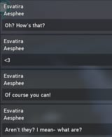 Esvaerp8