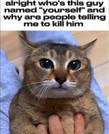 1745399248492518