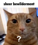 1743857466904