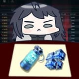 chief savings