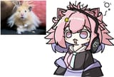 Eureka frazzled @nyuda_rum