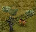 what the dog doing_thumb.jpg
