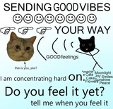 1739215995250696