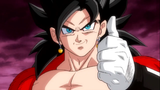 Vegetto_Xeno_SDBH_UVM_12